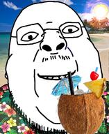 beach closed_mouth coconut floral_shirt glasses hawaiian_shirt irl_background island sky smile soyjak stubble sun vacation variant:chugsjak // 1124x1374 // 1.6MB