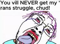 80s beach boat car glasses palm_tree subvariant:hulkjak sunglasses tranny variant:impish_soyak_ears variant:meximutt video // 484x360, 12.4s // 1.6MB