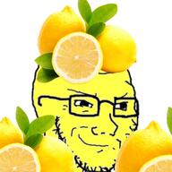 clothes food foodjak fruit glasses hat lemon smug soyjak stubble variant:soyak yellow_skin // 480x480 // 244.0KB