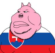 country meta:tagme pig pigskin pink_skin slavic slovakia stubble variant:meximutt // 888x849 // 30.8KB
