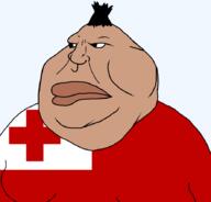 flag flag:tonga hair mutt stubble subvariant:tongamutt swarthoid swarthy tonga tongamutt tongan variant:meximutt // 888x849 // 38.9KB