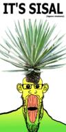 ear glasses gradient hair its_over oh_my_god_she_is_so_attractive open_mouth plant sisal soyjak stubble teeth text variant:markiplier_soyjak // 900x1808 // 389.4KB