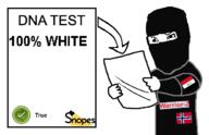 balaclava dna dna_test fact_check flag:iraq flag:norway holding_paper namefag_drama peer_review snopes variant:chudjak warrior-z_(user) white_skin // 665x428 // 30.1KB