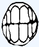 accessory clenched_teeth disembodied meta:nas nas open_mouth teeth variant:feraljak // 275x331 // 5.7KB