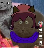 animal astrofene_(namefag) cat gemeraldiest_comments_section💎💎💎enter_as_you_please💎💎💎 irl jimbo_(namefag) jimbo_(user) meta:namefags niko_(oneshot) tiktok variant:catjak variant:meximutt // 1080x1200 // 845.4KB