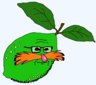 adventures_of_sonic_the_hedgehog black_sclera closed_mouth dr._eggman dr._robotnik_(asoth) foodjak full_body glasses green green_skin lime meta:low_resolution mustache neutral objectsoy pingas pingas_man_(user) red_eyes sega sonic_(series) stubble subvariant:neutralplier transparent_background variant:markiplier_soyjak // 250x221 // 22.3KB