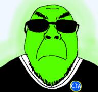 central_intelligence_agency glasses variant:bernd // 375x352 // 42.8KB