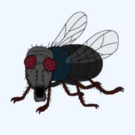 animal bug compound_eyes fly full_body hairy open_mouth series:animaljaks soyjak the_fly variant:a24_slowburn_soyjak wing // 1200x1200 // 24.2KB