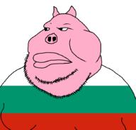 bulgaria closed_mouth country ear fat flag flag:bulgaria hair obese pig pig_nose pigskin pink_skin slavic soyjak stubble variant:meximutt // 888x849 // 12.6KB