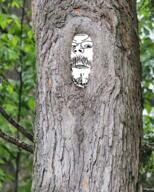 frown glasses irl mustache open_mouth soyjak stubble tree variant:gapejak // 440x550 // 478.9KB