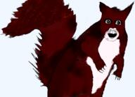 animal bulging_eyes crazed deformed drawing eyes_popping glowing_eyes red_fur schizo series:soyjaks_from_people's_dreams subvariant:feralsquirrel teeth transparent trend:squirreljakking variant:feraljak white_eyes white_fur // 761x550 // 265.3KB