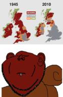 animal brown brown_skin closed_eyes ear extinction map sad soyjak squirrel stubble subvariant:impish_squirrel variant:impish_soyak_ears // 815x1250 // 583.0KB