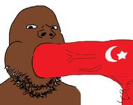 blowjob country flag flag:turkiye nsfw penis soyjak stubble subvariant:blowjob_gapejak subvariant:wholesome_soyjak turkiye variant:gapejak // 1056x836 // 40.6KB