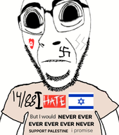 1488 bwc edit english_text hate i_hate i_love i_would_never israel lightning nazi_germany palestine shirt_with_words subvariant:hornyson subvariant:hydrocephason text variant:cobson // 968x1098 // 2.2MB