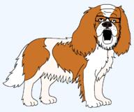animal cavalier_king_charles dog full_body fur glasses open_mouth paw series:animaljaks stubble tail variant:a24_slowburn_soyjak // 1200x1000 // 22.6KB