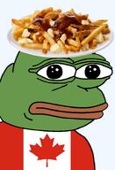 amphibian bald canada canadian cheese closed_mouth clothes country flag flag:canada food french_fries fries frog gravy green_skin irl leaf lips looking_at_you nas nas:pepe neutral pepe_the_frog poutine series:pepe_hat transparent_background tshirt // 1008x1479 // 593.0KB amphibian bald canada canadian cheese closed_mouth clothes country flag flag:canada food french_fries fries frog gravy green_skin irl leaf lips looking_at_you nas nas:pepe neutral pepe_the_frog poutine series:pepe_hat transparent_background tshirt // 1008x1479 // 593.0KB