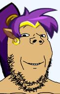 earring elf_ears purple_hair shantae smile stubble tan_skin variant:gapejak video_game // 601x936 // 32.0KB