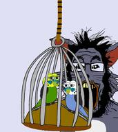amphibian animal beard bird blue_skin cage cat ear fish frog glasses green_skin grey_skin hair monster nas:pepe oh_my_god_she_is_so_attractive open_mouth parakeet parrot pepe pepe_the_frog rope soyjak variant:markiplier_soyjak yellow_teeth // 1522x1706 // 511.2KB