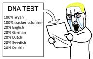 denmark dna dna_test dutch england germanic germany sweden trend:aryan united_kingdom variant:chudjak white_skin // 650x417 // 51.8KB