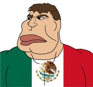 flag:mexico meta:leaky mexiaryan mexico subvariant:mexiaryan variant:meximutt // 1159x1080 // 493.6KB