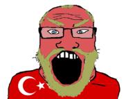 angry beard blue_eyes country flag flag:turkiye glasses hair open_mouth red soyjak subvariant:science_lover turkiye variant:markiplier_soyjak yellow_hair // 798x597 // 96.4KB