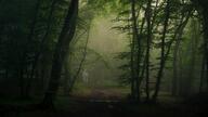 biting_lip closed_mouth evil forest full_body glasses irl_background naked nsfw ominous penis soyjak stubble subvariant:hornyson variant:cobson // 3840x2160 // 11.8MB