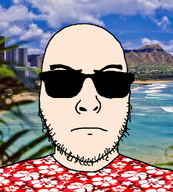 bald glasses hawaii hawaiian_shirt looking_at_you nose stubble sunglasses vacation variant:uncjak white_skin // 900x1000 // 920.3KB