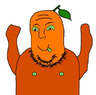 admin froot froot_(user) green_eyes hand hands_up leaf nipple no_glasses orange_skin stem stubble subvariant:flubbert tongue_out variant:norwegian white_background // 700x692 // 12.9KB