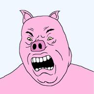animal animal_ears hohol no_background open_mouth pig pigger pink_skin soyjak subvariant:ukropson variant:cobson // 500x499 // 56.9KB