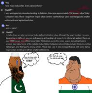 crescent flag flag:india flag:pakistan india indian indus_valley_civilization meta:missing_variant pakistan star_(symbol) star_and_crescent subvariant:mexiaryan text variant:meximutt // 1490x1508 // 488.1KB