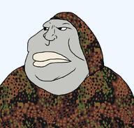 camo camouflage death_in_june douglas_p faggot fat hood mask variant:meximutt // 888x849 // 711.5KB