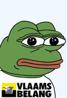 amphibian bald belgian belgium closed_mouth clothes europe european frog green_skin lips looking_at_you nas nas:pepe pepe pepe_the_frog politics transparent_background tshirt vlaams_belang // 1344x1973 // 98.0KB