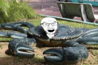 animal animated crab glasses open_mouth soyjak stubble variant:feraljak // 750x500 // 18.1MB