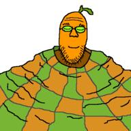 bald blanket closed_eyes closed_mouth eyebrows froot glasses green leaf orange sleeping smile soyjak stubble subvariant:blanketjak variant:shirtjak wrinkles // 500x500 // 21.7KB