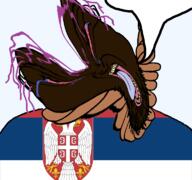 ack blackface brown_skin brown_troonjak distorted flag flag:serbia glasses open_mouth purple_hair rope serbia soyjak speech_bubble stubble template tranny variant:bernd // 768x719 // 226.2KB