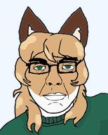 averi female fox furry furry_ears furry_female glasses green_eyes green_shirt green_sweater l series:keep_raging_on_them subvariant:z_chud variant:zjak // 299x373 // 35.3KB