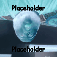 2019 3dgifmaker animated beard closed_mouth clothes ext=gif fat fat_duel glasses irl open_mouth red_tshirt schizo soyboy subvariant:fatjak_irl tshirt variant:fatjak // 255x255 // 1.3MB