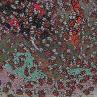 antimatter brown_skin bug child_sexual_abuse_material flies fly gem gemerald god_tier_wojack incomprehensible incomprehensible_woahjack jartybug jartyfly nobody_looks_like_this noise not_a_fucking_soyjak rope series:jartybug shitskin stinky swarm trend:slopjak // 1024x1024 // 136.6KB