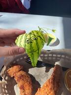 bold chicken chicken_nuggets fast_food food fruit green growing healthy intense leafy melon plant strong subvariant:wholesome_soyjak variant:gapejak vibrant watermelon // 1536x2048 // 3.2MB
