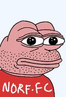 amphibian bald british closed_mouth clothes england frog green_skin lips looking_at_you nas nas:pepe norf_fc pepe_the_frog pink_skin stubble transparent_background tshirt united_kingdom // 672x986 // 18.5KB