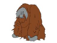 ape brown_hair full_body hair hairy hand orangutan series:animaljaks smile soyjak variant:impish_soyak_ears // 2048x1536 // 361.6KB