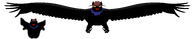 black_skin claws clothes fat feathers fixed flying flying_nigger glowing hat jimbo_(namefag) lips meta:namefags nigger obese oneshot scarf soyjak subvariant:branigger talons transparent_background trend:glowie variant:brandon wing yellow_sclera // 9912x2000 // 284.5KB