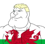 blond blue_eyes clothes country countrywar flag:wales soyjak subvariant:mexiaryan tshirt unbothered united_kingdom variant:meximutt wales // 886x872 // 156.5KB