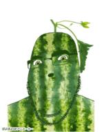 animated bold ext=gif food fruit green growing healthy intense leafy melon plant poyopoyo strong variant:cobson vibrant watermelon // 309x400 // 940.5KB