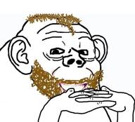 beard brown_hair coomer ear frog hand looking_at_you merge pepe series:coomers_&_gooners smile variant:impish_soyak_ears variant:pepejak white_background wojak wrinkles // 523x473 // 77.2KB