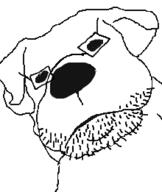 animal closed_mouth discord_dog dog ear glasses soyjak stubble variant:unknown // 220x261 // 17.1KB