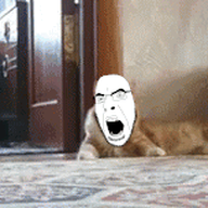 animal animated cat door ext=gif feline floor glasses irl_background open_mouth orange orange_cat running scared soyjak stubble teeth variant:cobson walking // 244x152 // 563.3KB