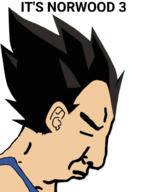 dragon_ball ear its_over japan norwood tank_top text variant:chudjak vegeta widows_peak // 735x985 // 178.6KB
