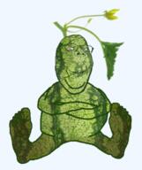 dew farm food fruit growing happy healthy melonjak subtle sunny variant:gapejak water watermelon wet wholesome // 600x715 // 350.2KB