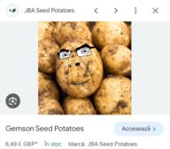 gem gemerald gemmy he_will_always_be_a_gem potato romanian_text variant:cobson xwabag // 454x397 // 168.7KB